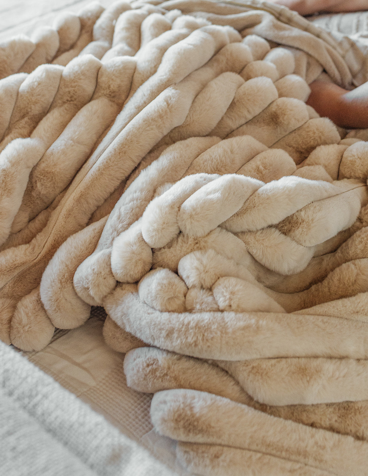 Cream + Beige Textured Stripe | 19x19 Bothro